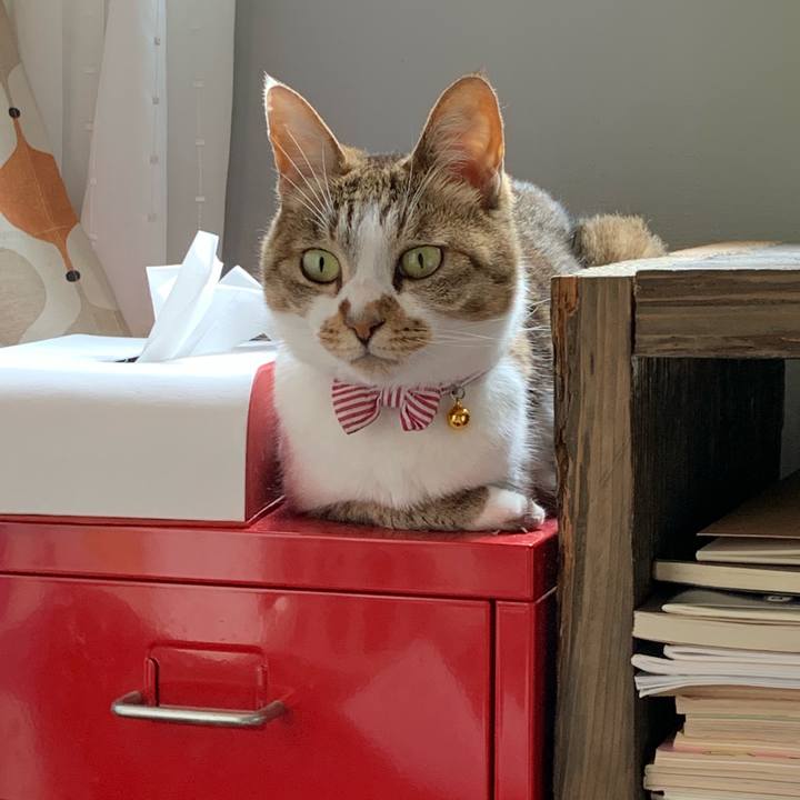 7de7b5fb f83b 4a5d a55e 7b47b5dd3838 1561091135409