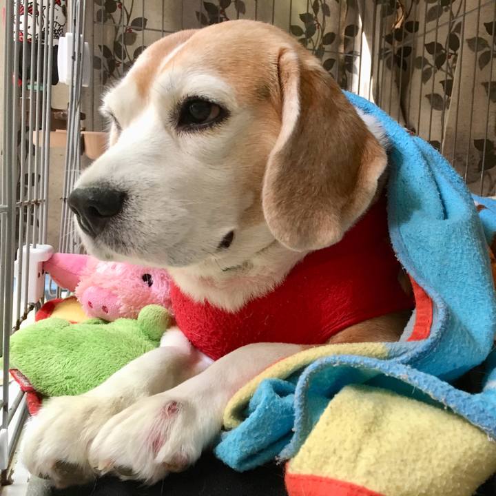 7de8146a 3f67 4e6a 9d87 7476e26d6683 1542254237844