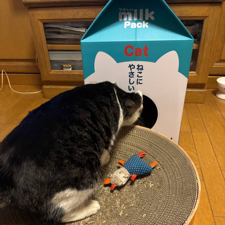 7de821ad d245 48bc bb5f bf65dee3652e 1739961237866