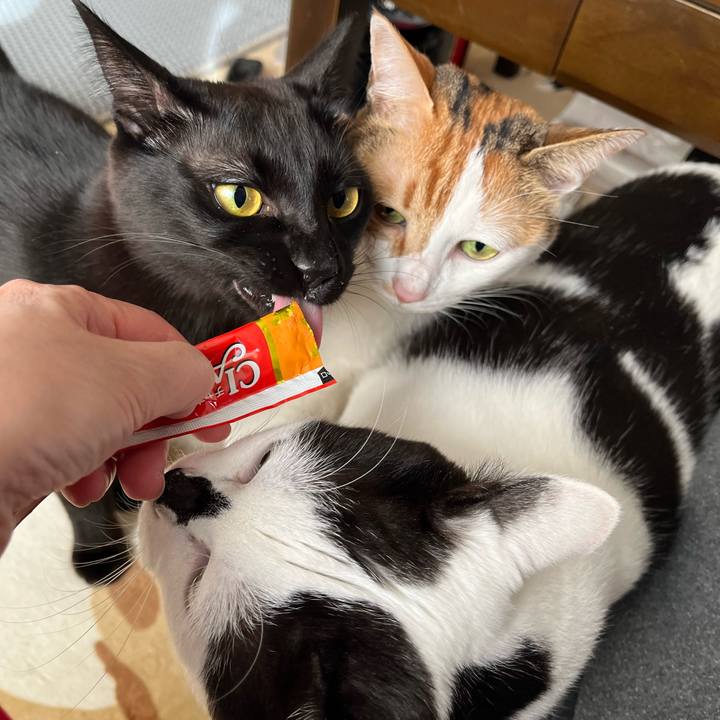 7de83d1e 9554 44ca b9d8 fc67dac0c5d9 1763908895710