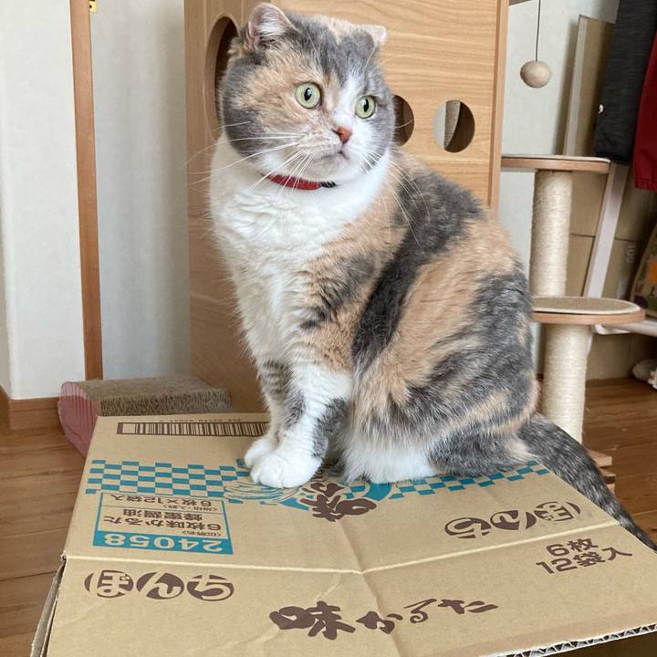 7de86cf4 e133 4006 84fa 1f27bfb52034 1644457348677