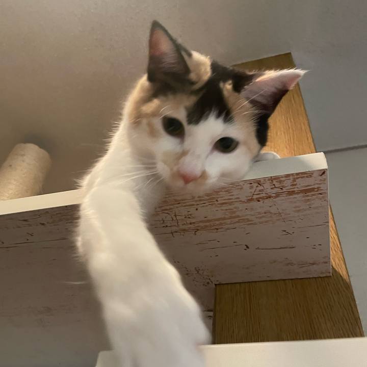 7de88946 b3b2 442d b360 2550e8ab7e17 1670422172915