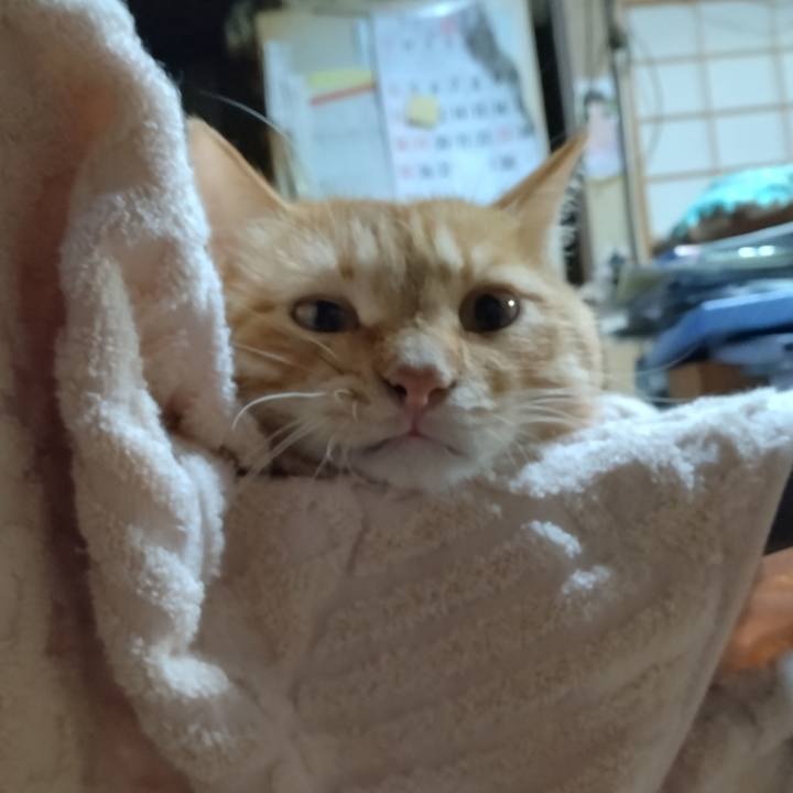 7de88c36 7036 4d37 8b91 a89d9fcdc580 1663755371510