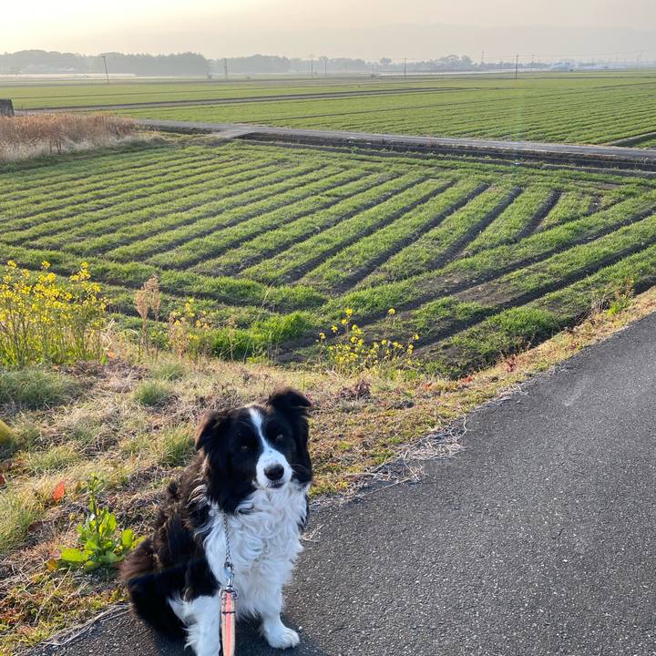 7de89bfc 4184 4cc4 82c3 9b2fccb2554b 1645918033420