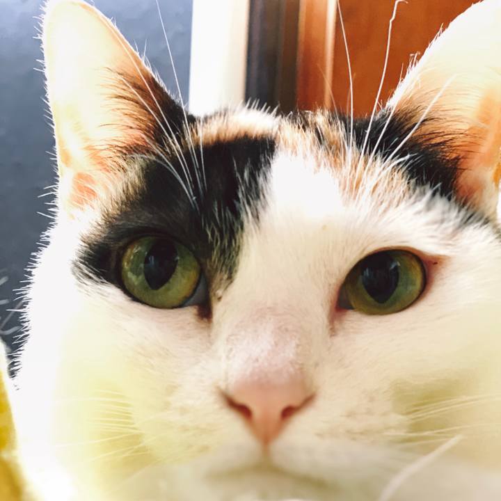 7de8cfdf 0d7a 48c3 981e e7f737235eec 1555984451344