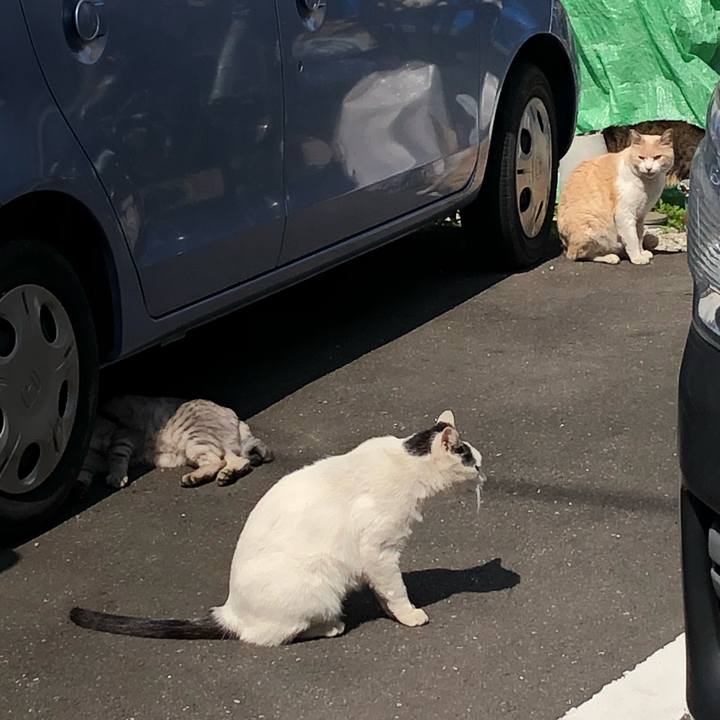 7de8e5aa 912a 4025 b369 597e460ad68c 1620575140241