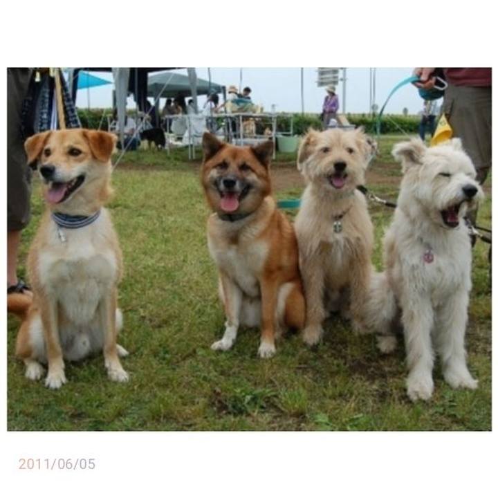 7de911fe 64ad 42ad ae2c 35c65e997823 1651541421944