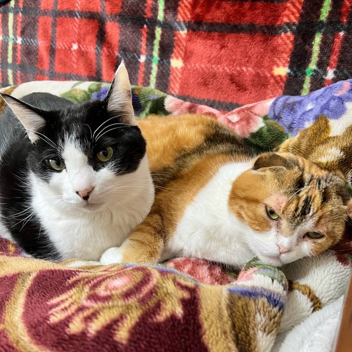 7de959cf b25b 42fc 842d 6763a0052a30 1710804770979