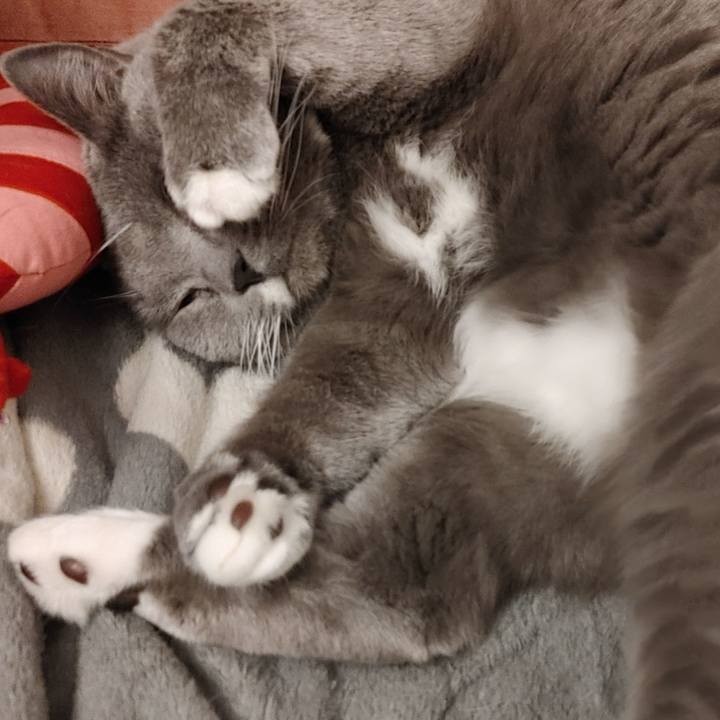 7de9a533 7c15 42ab b80a 0970f548e3e5 1616151710886