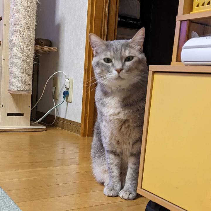 7de9b9ab 49fb 4b3a 9c8d 9e3e396d5176 1684562443482