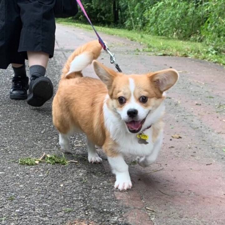 7de9c7b3 7428 4d32 bc9d e0b237aa8e22 1562716848196