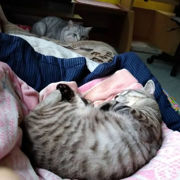 7de9d32e 0934 411a 8a6c 4d28afa738de 1594385458506