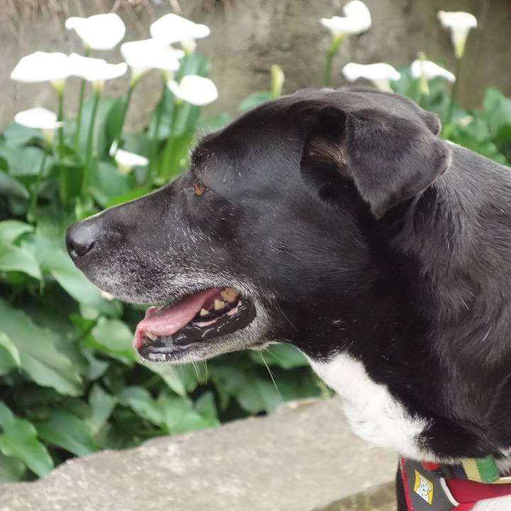 7de9d82d 708c 485b 9d53 a83042e7d916 1683420040742