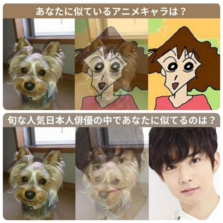 7de9f48b 57be 4c43 928a 82dbed61653c 1528519134562