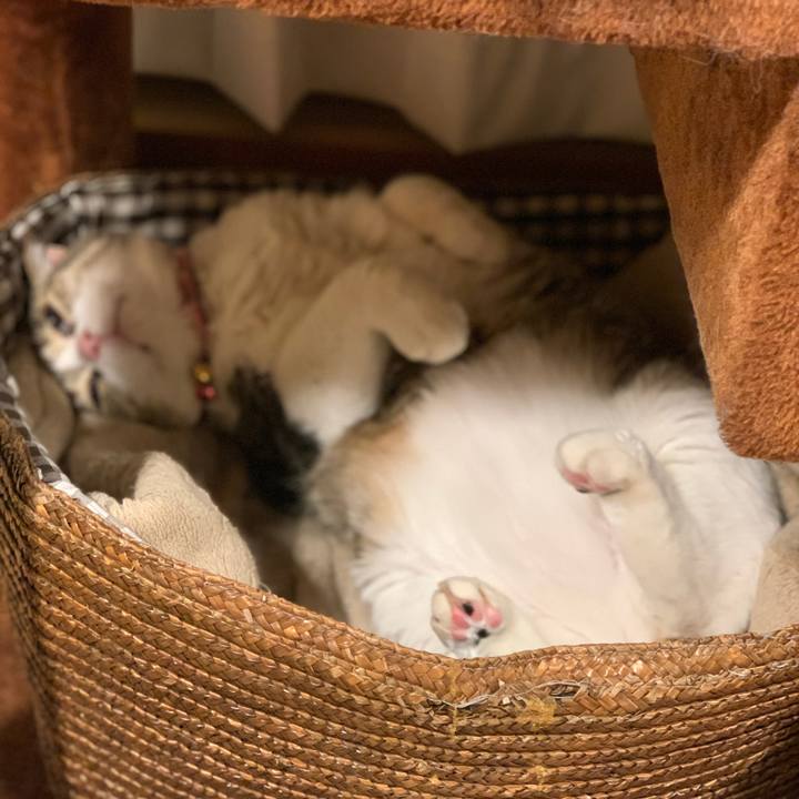 7dea1d89 7f0b 40b7 8960 e58949b9128b 1716551500426