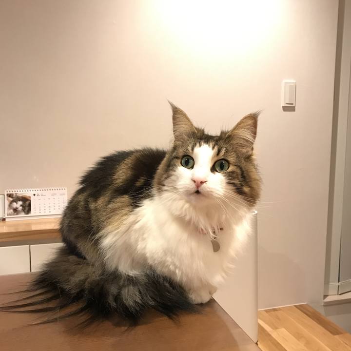 7dea39a4 7601 4736 866c 8637fda2254b 1519039489626