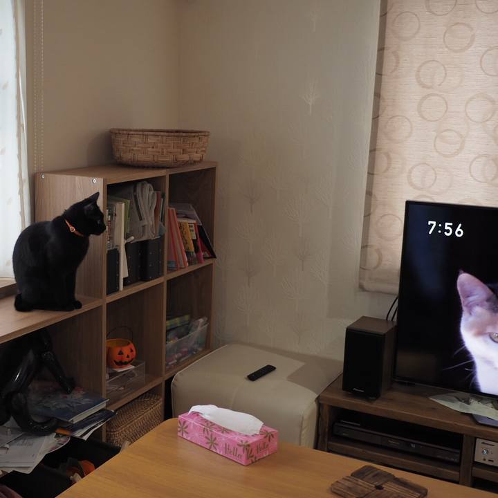 7dea4c6f ea3a 458c 89f9 45cdb45b7b52 1540339018042