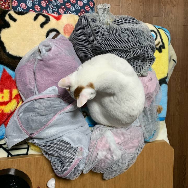 7dea6305 55cb 49d1 9024 3dfcf77d07de 1576918581284