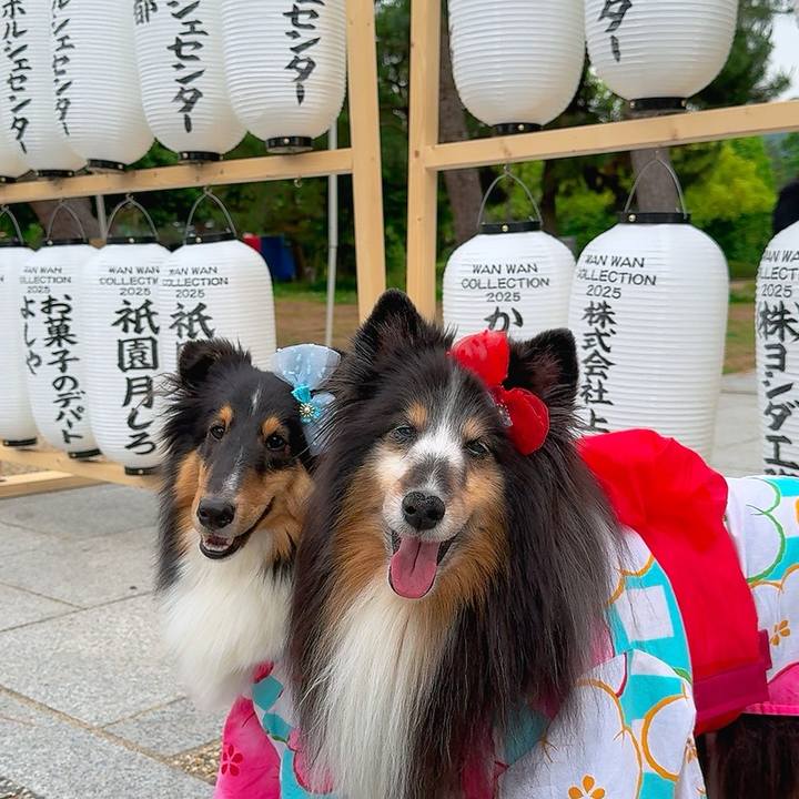 7dea6c48 fcfa 43f8 b4e5 e20021d192ad 1749492598425