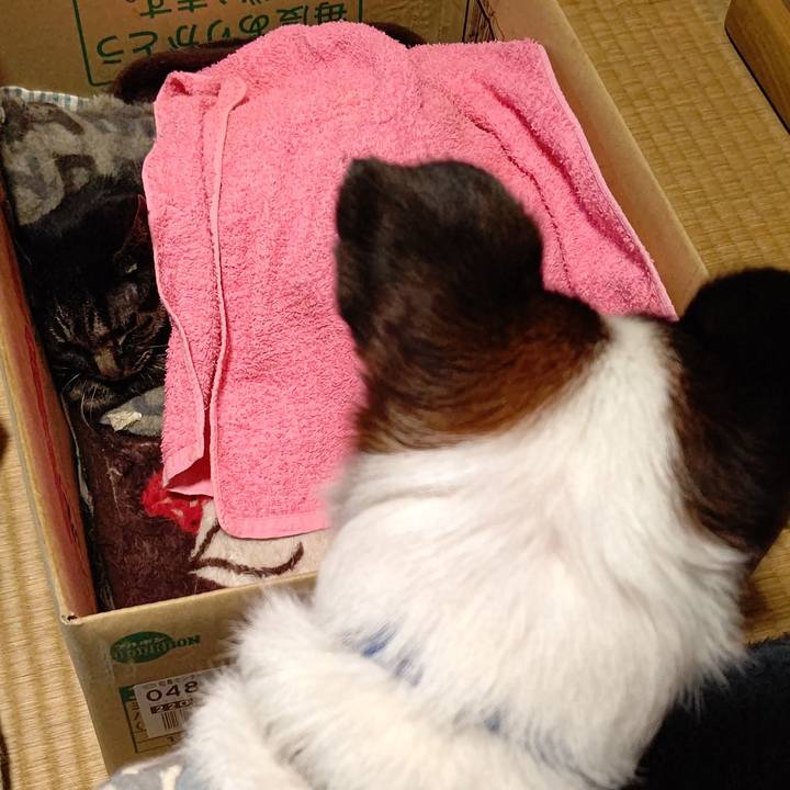 7dea72a4 251e 44e2 bcbf d9c08928973d 1665191296750