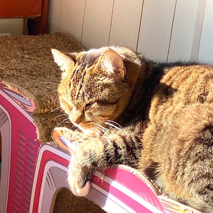 7dea788a 0ede 45e2 a5a2 3b1488a99933 1674259765029