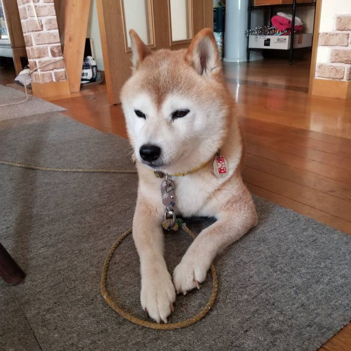 7dea96de 345a 4b19 bcee 7965782b4fbb 1692509166872