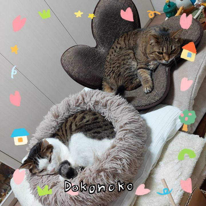 7deabf5c 19eb 4c29 bec0 d47ba643a0a6 1741129057676