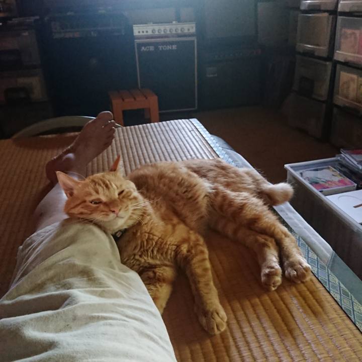 7deac35c 633f 4254 a93e 6bdd8670d42d 1663133729470