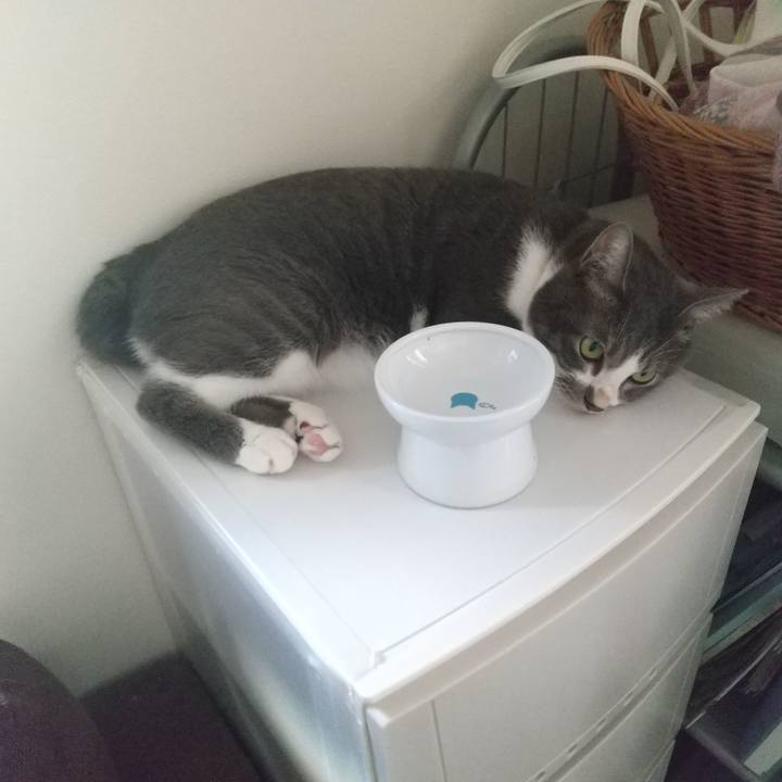 7deadbca 0f00 42b6 9864 d5d15fa989ee 1633681224014