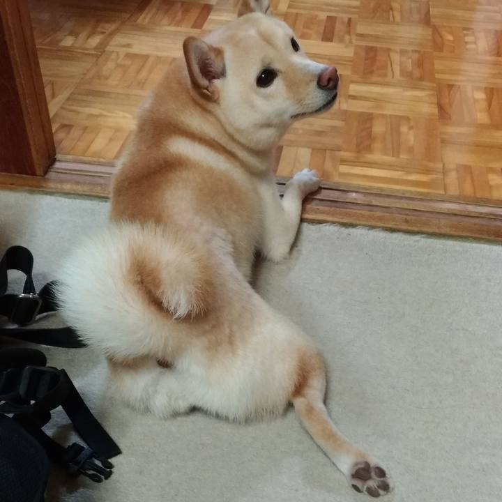 7deae6e7 dc25 41e5 acf2 3cae750d1096 1534415453634