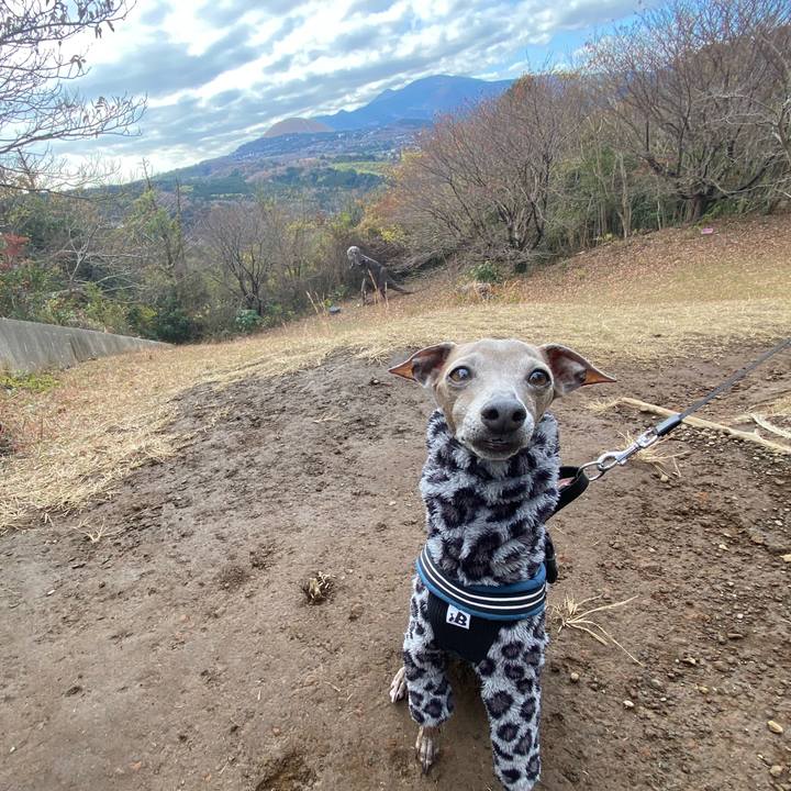 7deb337f b381 4b03 97da accdaf6129aa 1765851957721