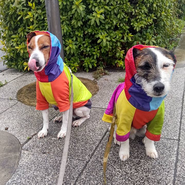 7deb7d94 6bef 4d1b b18b 1081e26e591a 1711320022833