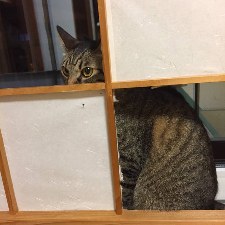 7deb8d58 4040 47c0 9e42 fa2cf5acee2a 1535197812446