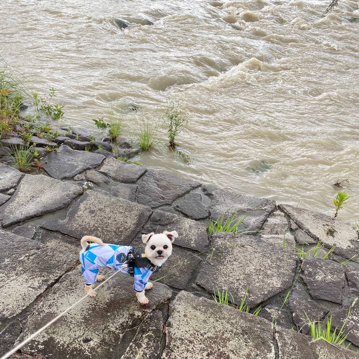 7debd552 9add 47e6 81ee 6e1bcfa1c892 1593835110644