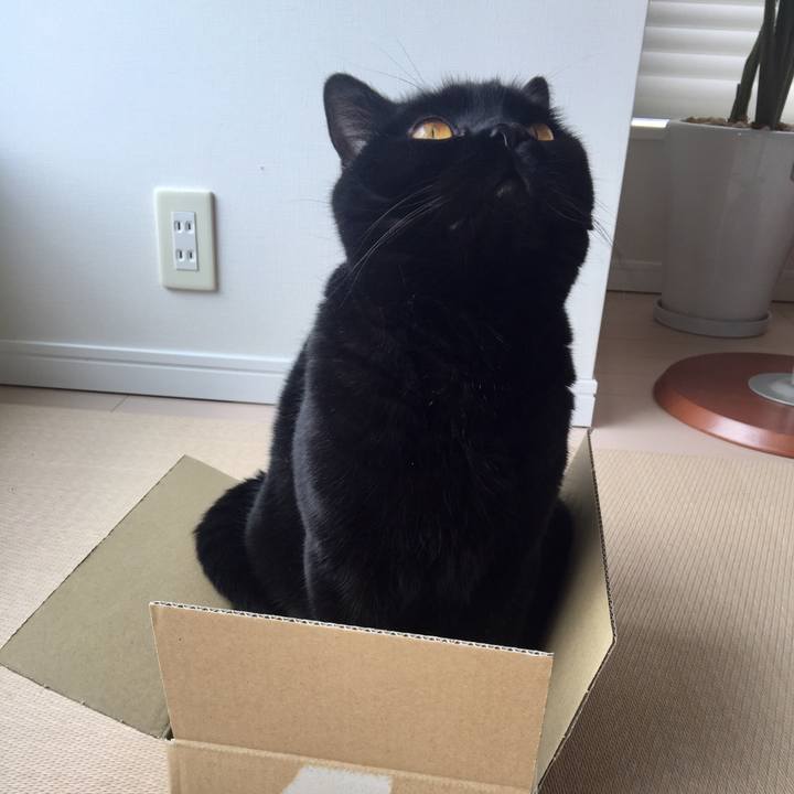 7debf61e 5d67 4a06 b77b 4bab1f0b71be 1554075198926