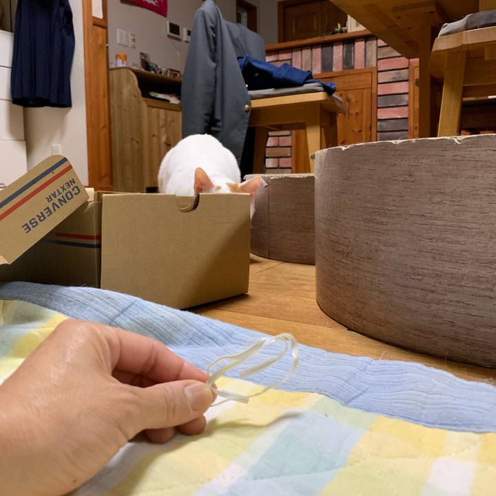 7dec33f5 018d 4185 9a0e 68c8c29254cd 1557412622879