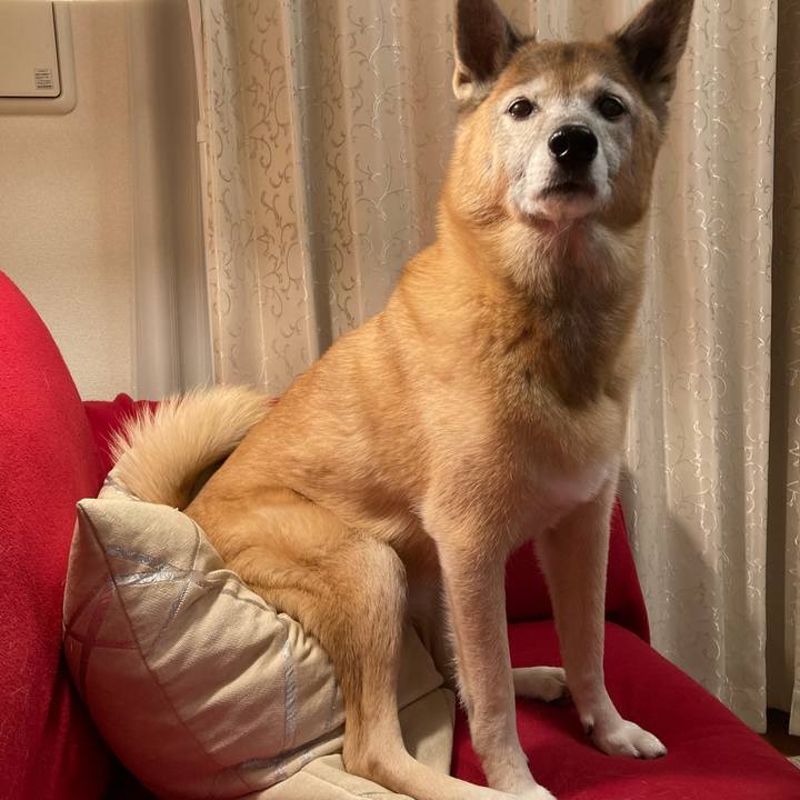 7dec3aaa 03a3 4cb8 b3a2 b0443f572efe 1765023223567