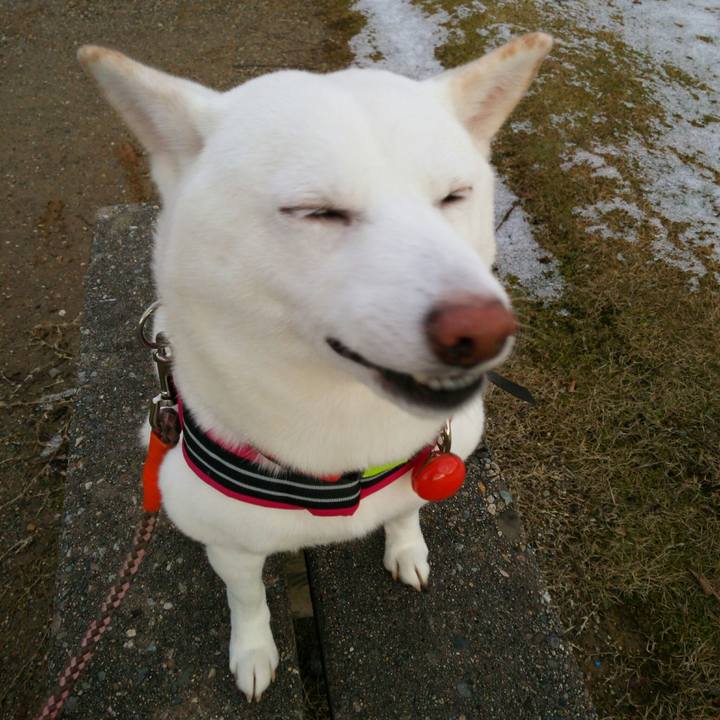 7dec8aee 418b 4972 9c9f 74c87fa6b0ff 1547023254930