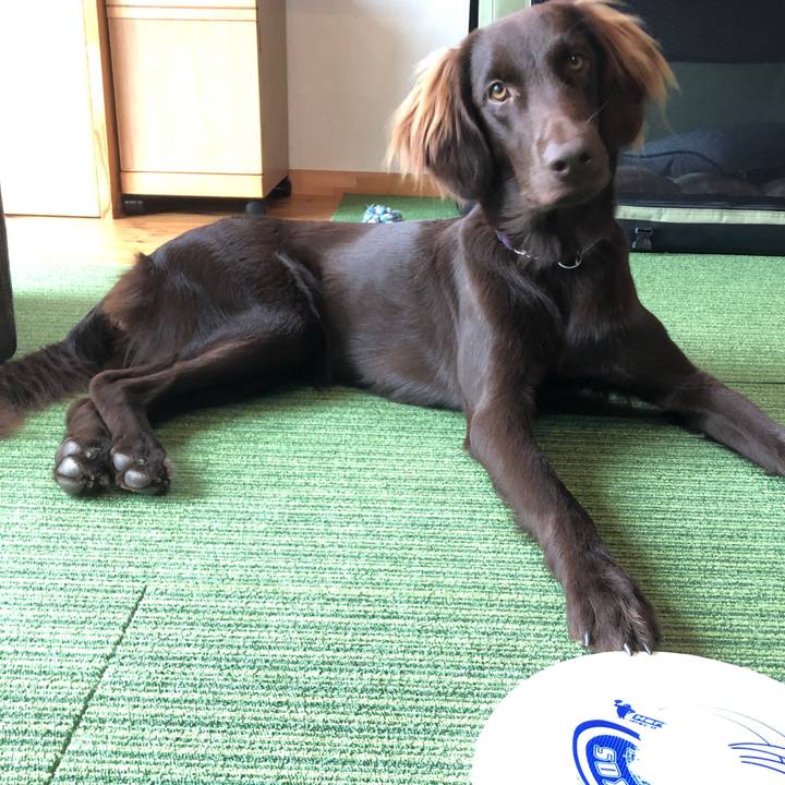 7decb316 cbc1 450d a0a0 f8297a7cccfc 1574914196181