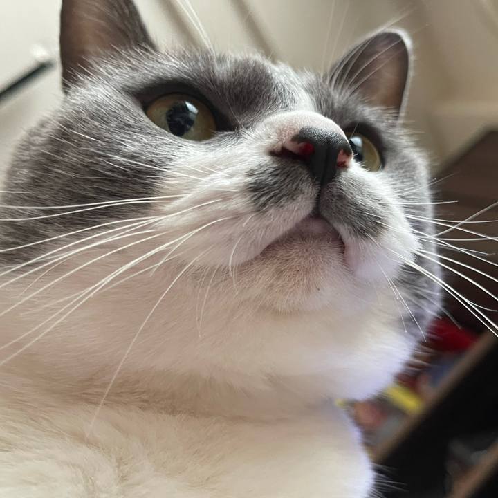 7decd198 2e91 4471 8929 4d7ea7a74431 1659948110145