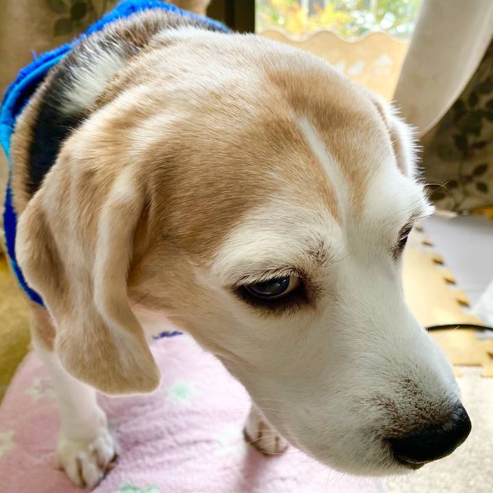 7decf289 99cb 48b4 b06a 167fd5a3e0c0 1613277958886