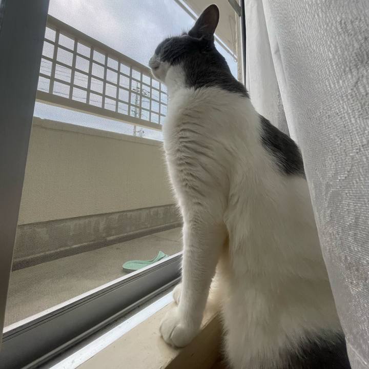 7ded274d b323 4f2f bb7a 2a136a2814b3 1720861516640