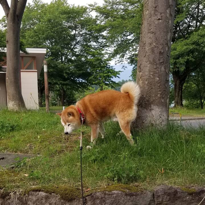 7ded3113 e7cb 47c9 84f7 3ba4b31b548b 1718440533238