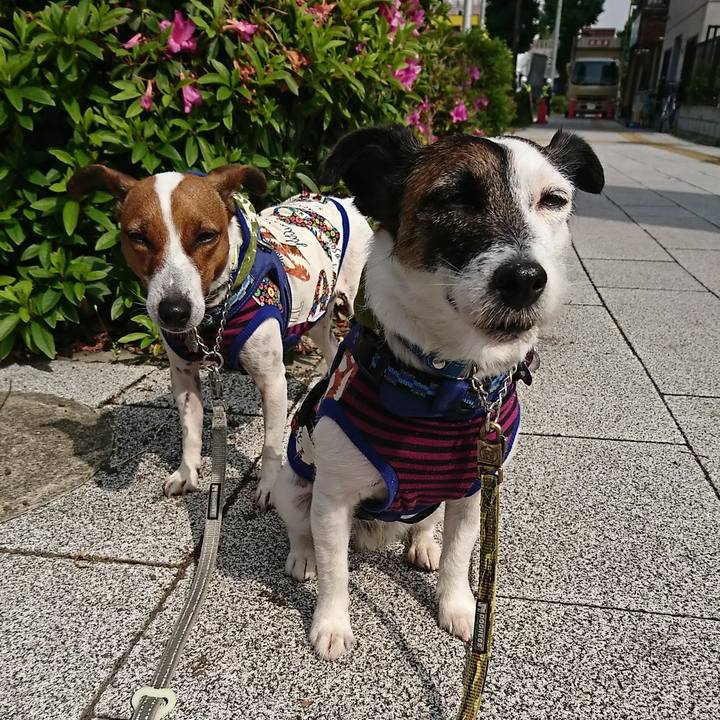 7ded3203 8387 4685 8686 2ecfd54dfa7c 1589326341812