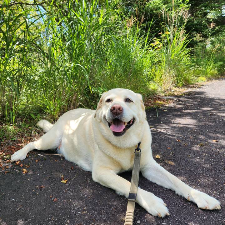 7ded3268 c065 4b9a 8142 c158409561e2 1755487740422