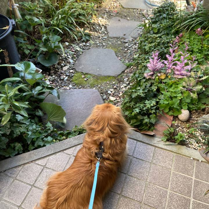 7ded3be7 6933 40f3 98be 7155bc34a67b 1584749266254