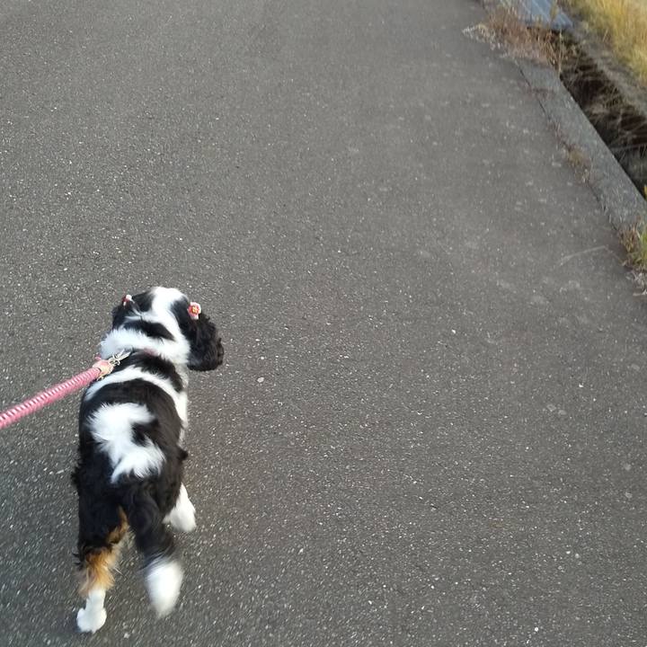 7ded4a5d 87d0 4ac1 a75d 11b801775833 1603883214398