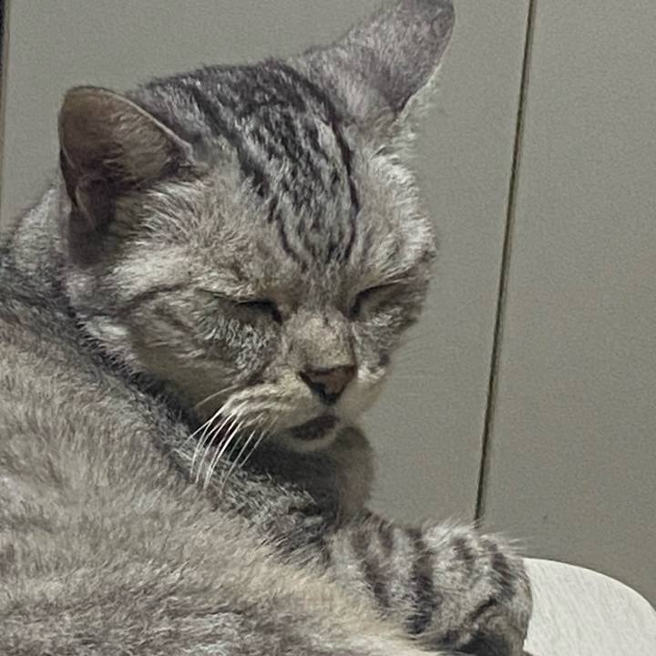 7ded93ed 2fc4 4f45 b3f1 b09956e12d3b 1753023906528