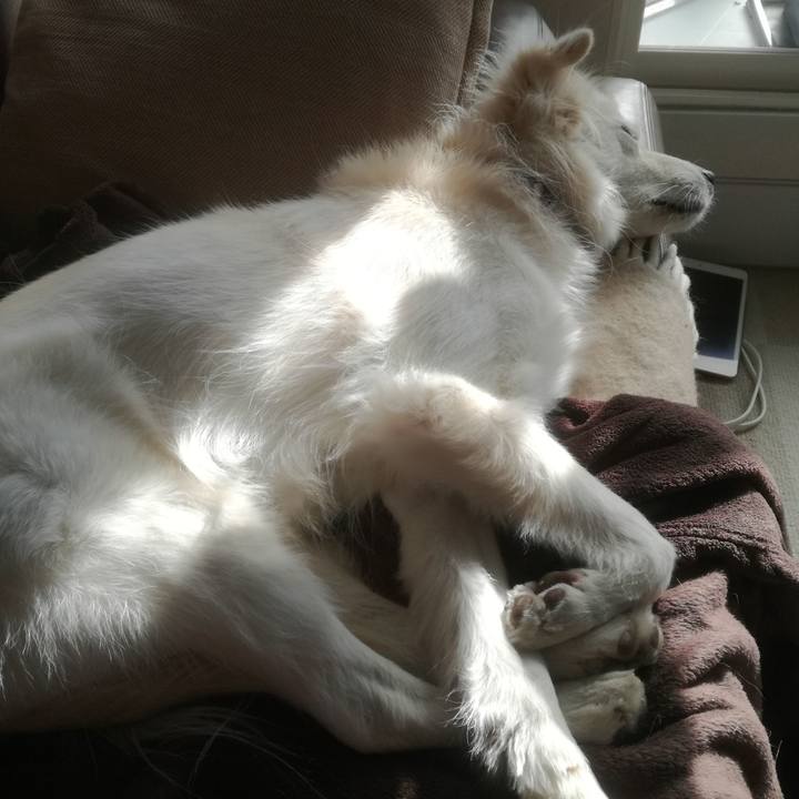 7deda4f0 6124 47d5 ad77 d6d2c1e37257 1513822197633