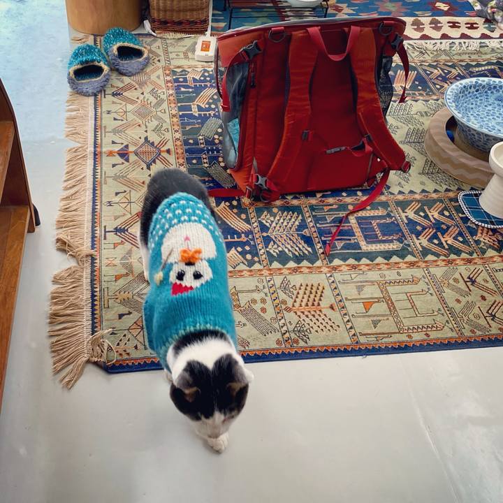 7dedc22b f942 469a 9d10 612036494dc6 1610851350745